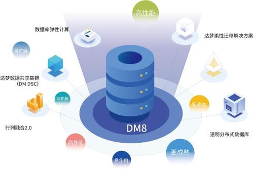 活字格兼容达梦dm8,低代码支持数据库国产化